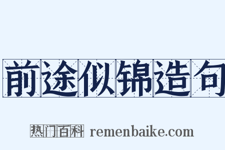 前途似锦造句是什么意思的图片